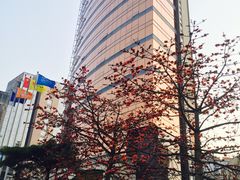 -金苑海鲜酒家(来魅力店)