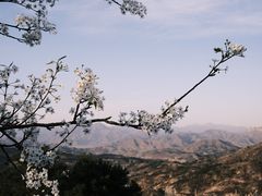 -静之湖度假区