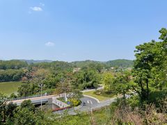 -天鹿湖森林公园