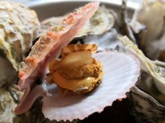 扇贝，生耗，-宾朋海鲜美食餐厅·特色美食(兴海路店)