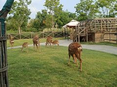 -祥源·阜阳生态乐园