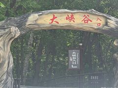 -茅兰沟国家森林公园