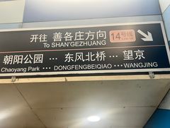 -大望路(地铁站)