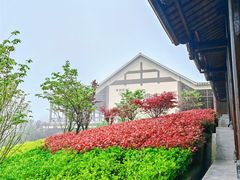-恩施大峡谷