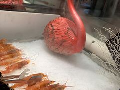 -济南蓝海御华大饭店·蓝钻国际美食自助百汇(山东书城店)