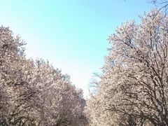 -山东师范大学(千佛山校区)