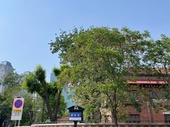 -天津五大道文化旅游区