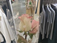 -老字号蛇口德记烧腊饭店·海鲜加工