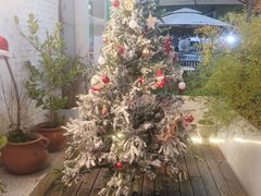 -春树下·树屋花房西餐厅(罍街AS1980店)