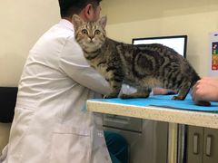 -美迦爱-牙专科·兔科·骨科诊疗中心(北苑店)