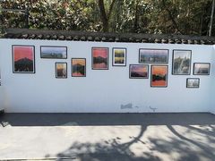 -上海佘山国家森林公园西佘山园