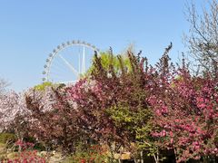 -石家庄市植物园