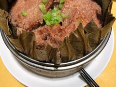 -素虎小呆鸟(西二旗店)