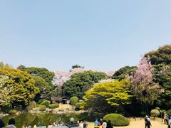 -东京国立博物馆