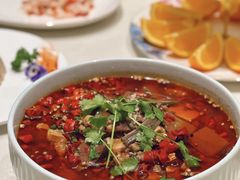 特色毛血旺-蝶园·装修中(BFC外滩金融中心店)