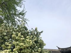-常熟方塔园
