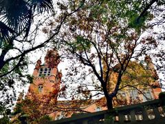 -上海佘山国家森林公园西佘山园