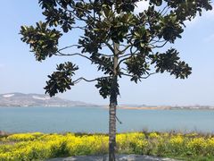 -南京金牛湖风景区