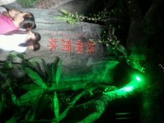 android_upload_pic-泉城欧乐堡海洋极地世界