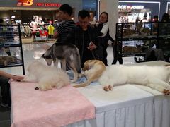 -北京华联购物中心(天通苑店)