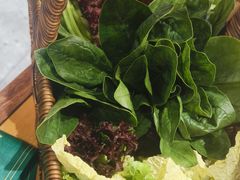 -曲氏老北京铜锅涮肉•火锅(不老街店)