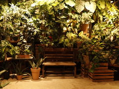 -自由生长植物工作室(深港花卉中心店)