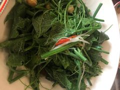 炒丝瓜苗-巴依老爷新疆美食(工体旗舰店)