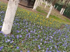 -艾溪湖湿地公园