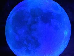 -重庆梵高星空艺术馆(解放碑旗舰店)