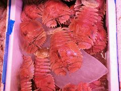 -长平肥姐白粥·海鲜打冷