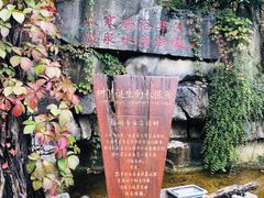 -西安国际创新人才交流中心•药浴温泉