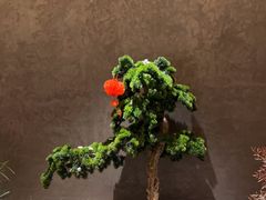 -阿露佳·舌尖上的安吉菜