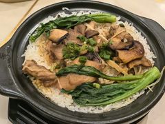 七彩什菌鲜鸡饭-稻香酒家·35年老字号(侨光店)