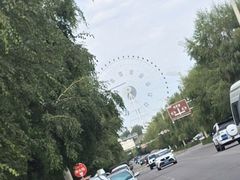 -特克斯八卦城