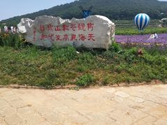 -金石滩蓝莓谷庄园