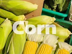 -东川新街市(东川市场店)