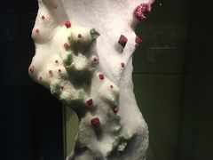 -中华赏石园