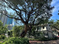 -九龙公园