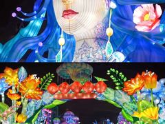 -海合安成都极地海洋公园