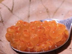 -银座岩