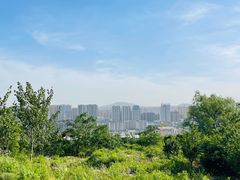 -泰山风景名胜区