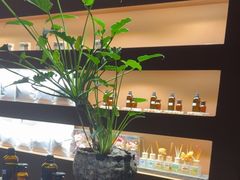 -泰·菩提树下[泰式按摩x精油SPAx肩颈头疗](新景店)