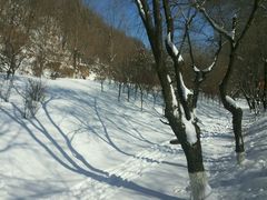 -高尔山公园