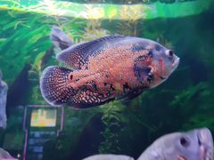 -常州海昌海洋探索馆