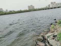 -长白岛森林公园