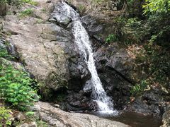 -东天目山风景区