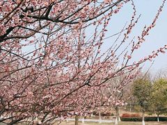 -白塘生态植物园