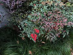 -上海孙中山故居纪念馆