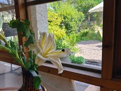 -Jo's Garden