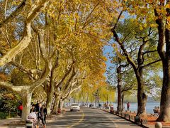 -By Lake Whisky Cocktail Coffee日咖夜酒